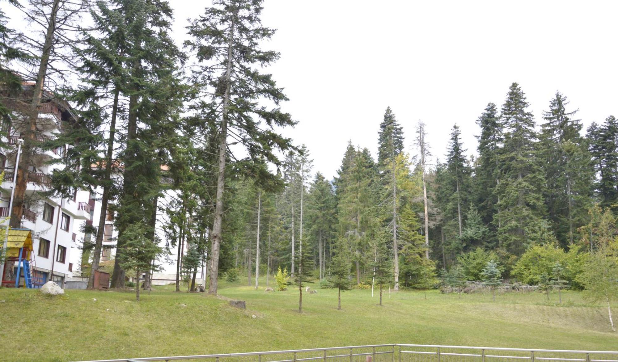 Persey Flora Apartments Borovets Ngoại thất bức ảnh